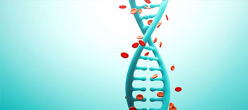 Clinical Language Translation